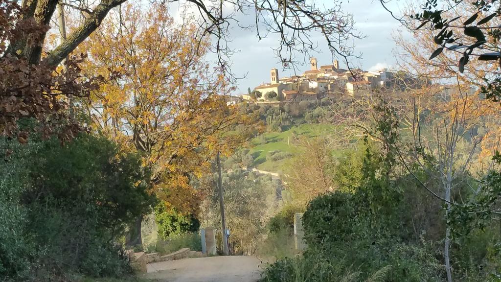 Appartamento MattiMamiHouse Montepescali Esterno foto